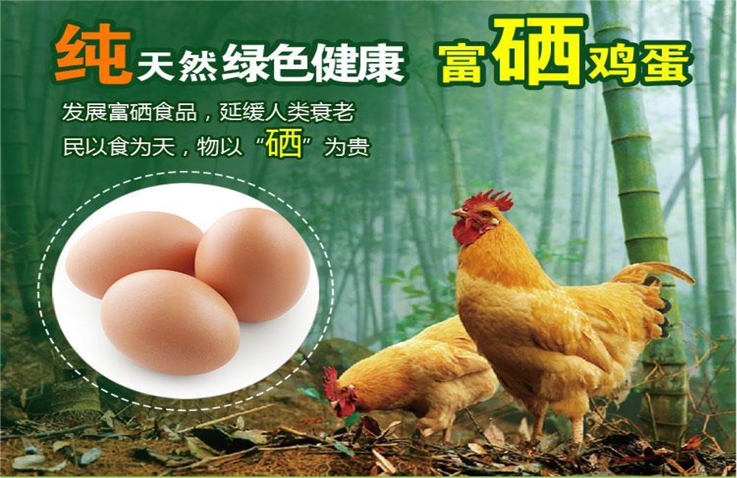 富硒鸡蛋